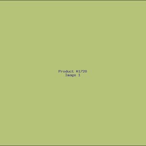 Example Product 1720