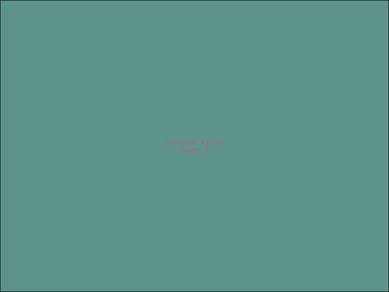 Example Product 1721