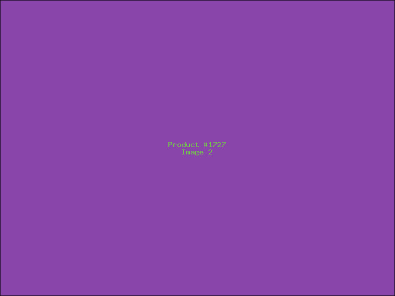 Example Product 1727 - Image 2