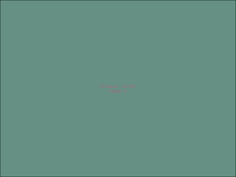 Example Product 1729