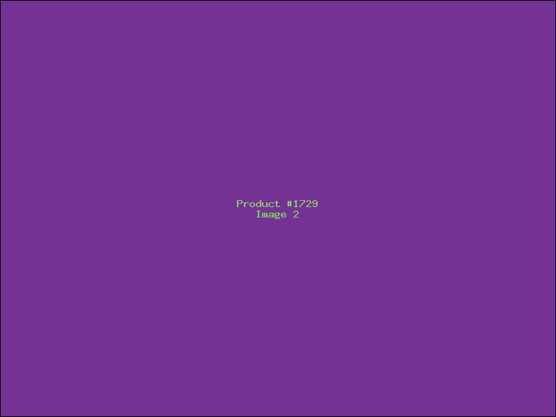 Example Product 1729 - Image 2