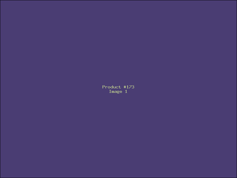 Example Product 173