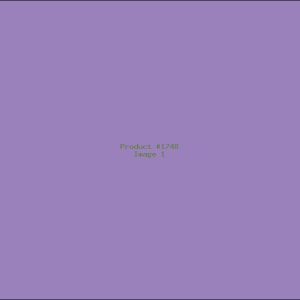 Example Product 1748