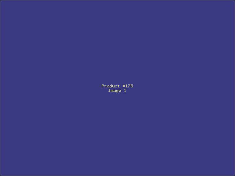 Example Product 175