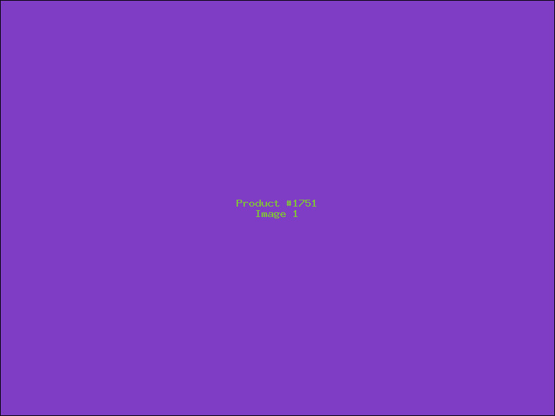 Example Product 1751