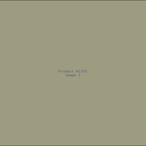 Example Product 1753