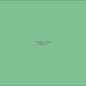 Example Product 176