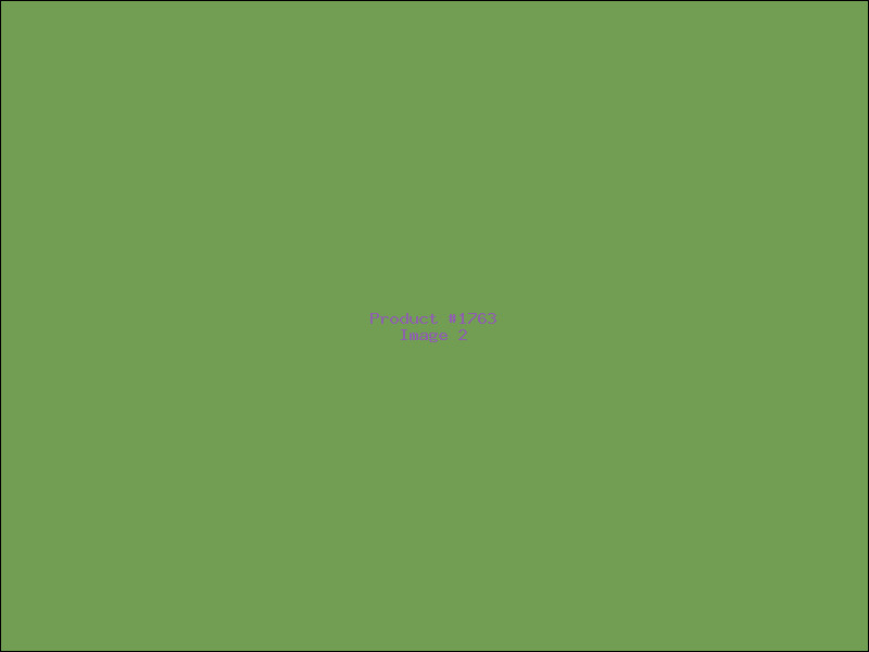Example Product 1763 - Image 2