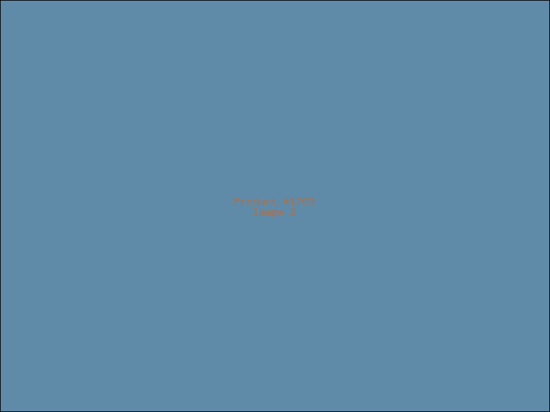 Example Product 1769 - Image 2