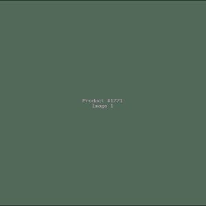 Example Product 1771