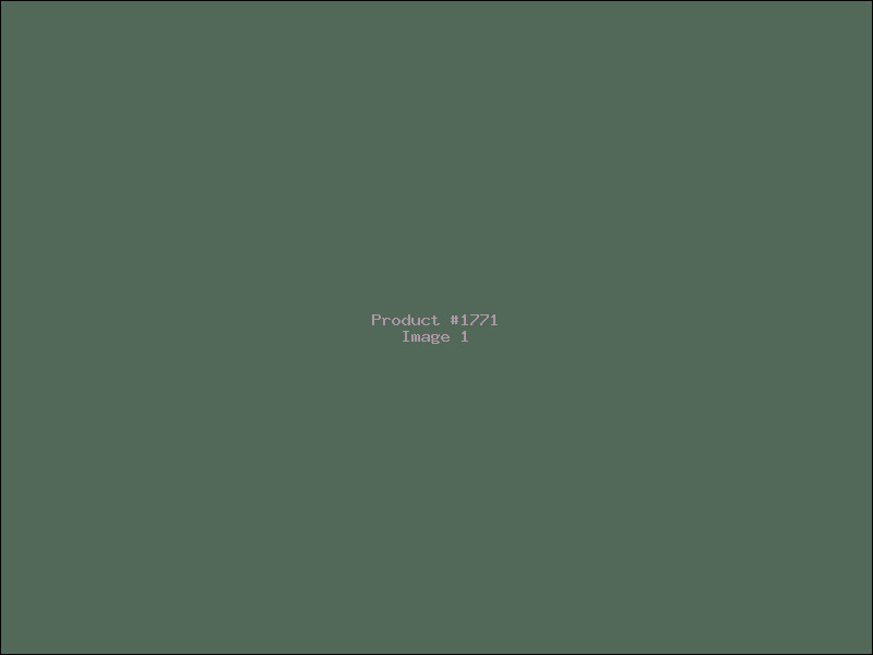 Example Product 1771