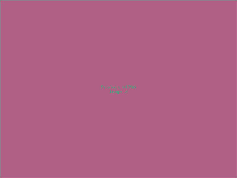 Example Product 1780 - Image 2
