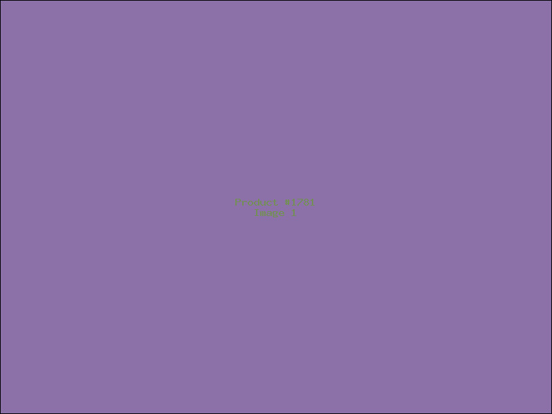 Example Product 1781