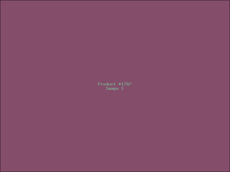 Example Product 1787