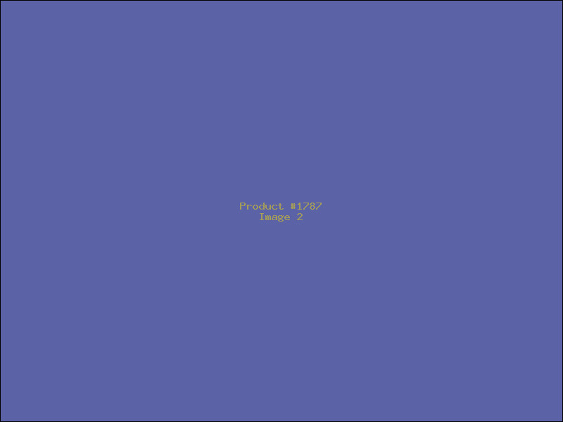 Example Product 1787 - Image 2