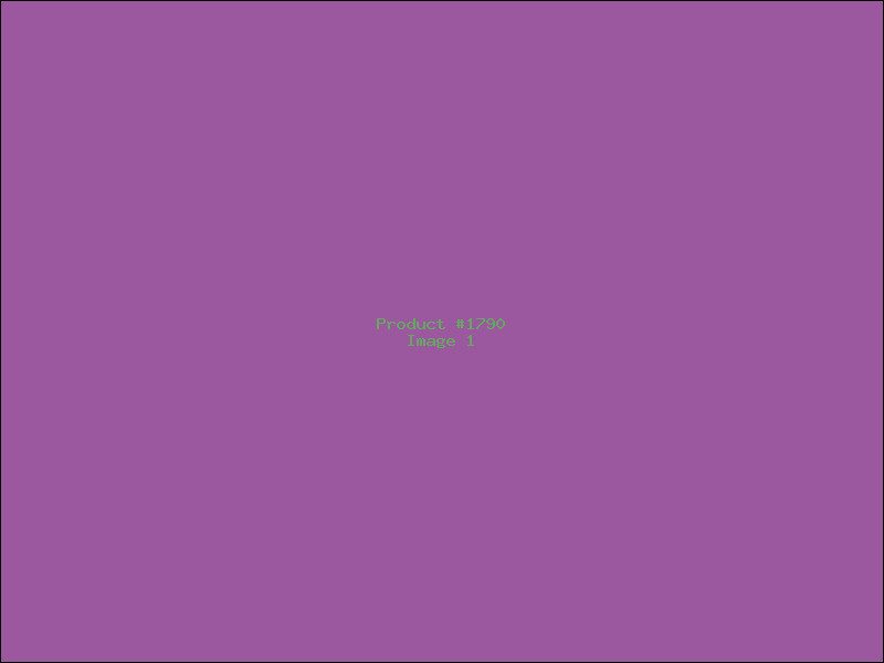 Example Product 1790
