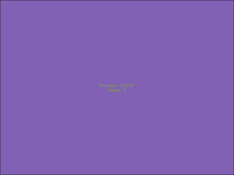 Example Product 1790 - Image 2