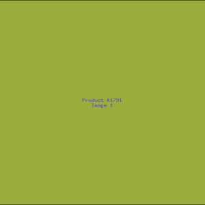 Example Product 1791
