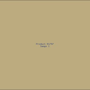 Example Product 1797