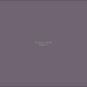 Example Product 1798