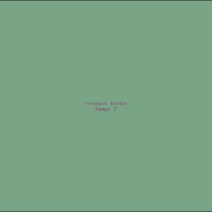 Example Product 1809