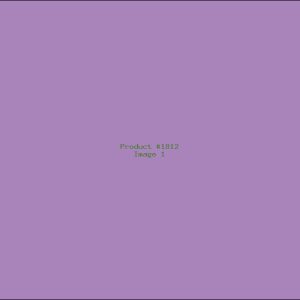 Example Product 1812