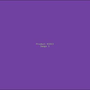 Example Product 1813