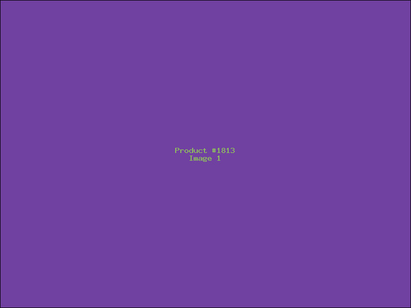 Example Product 1813