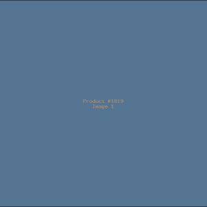 Example Product 1819