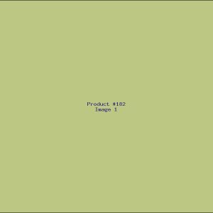 Example Product 182