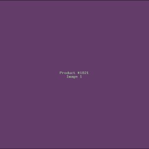 Example Product 1821