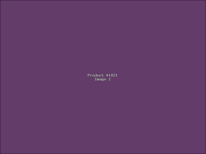Example Product 1821