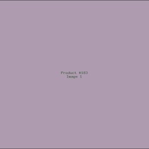 Example Product 183