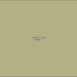 Example Product 184