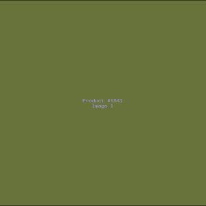 Example Product 1841