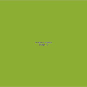 Example Product 1842