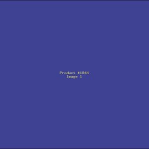 Example Product 1844