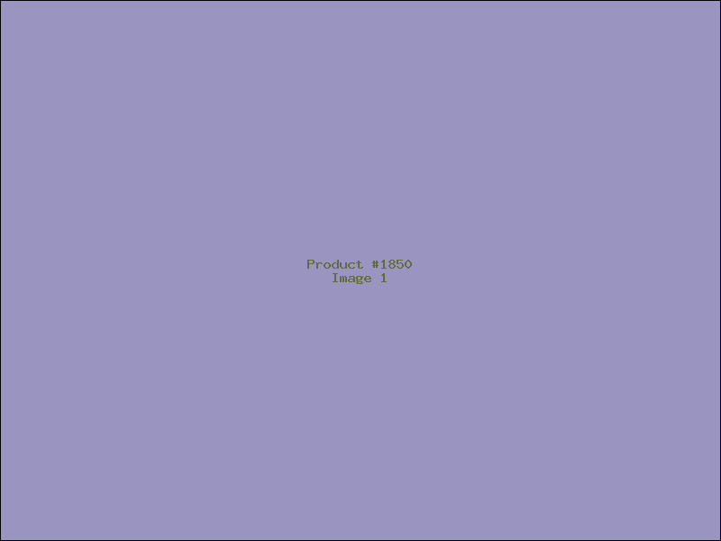 Example Product 1850
