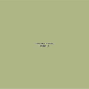 Example Product 1858