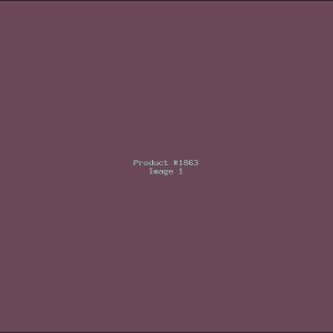 Example Product 1863
