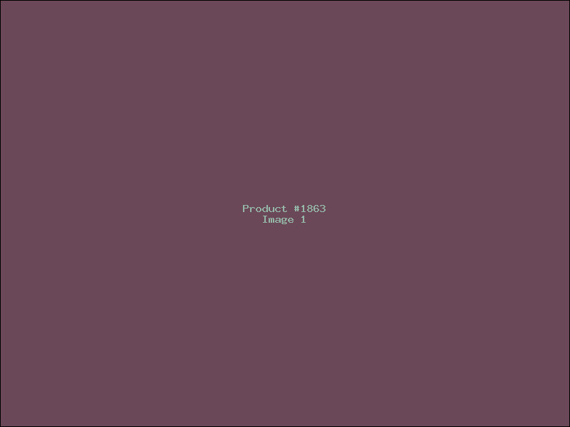 Example Product 1863
