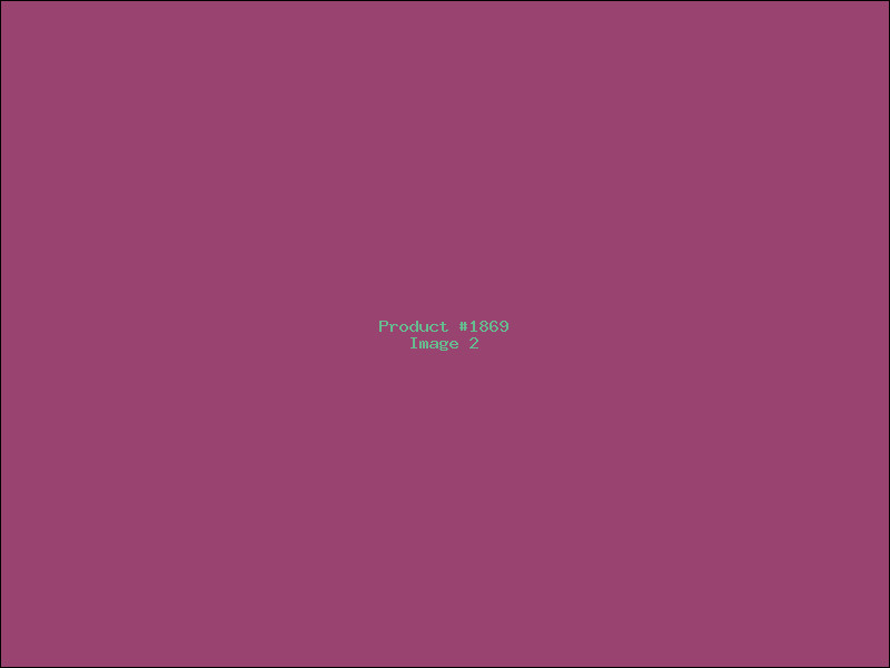 Example Product 1869 - Image 2