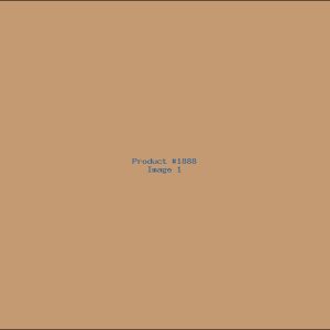 Example Product 1888