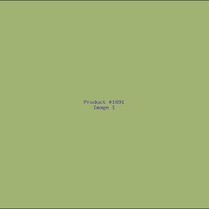 Example Product 1891