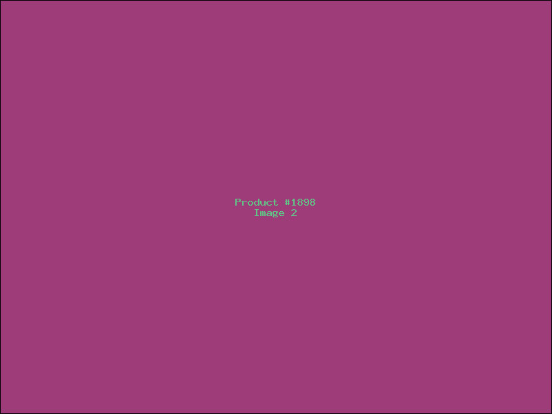 Example Product 1898 - Image 2