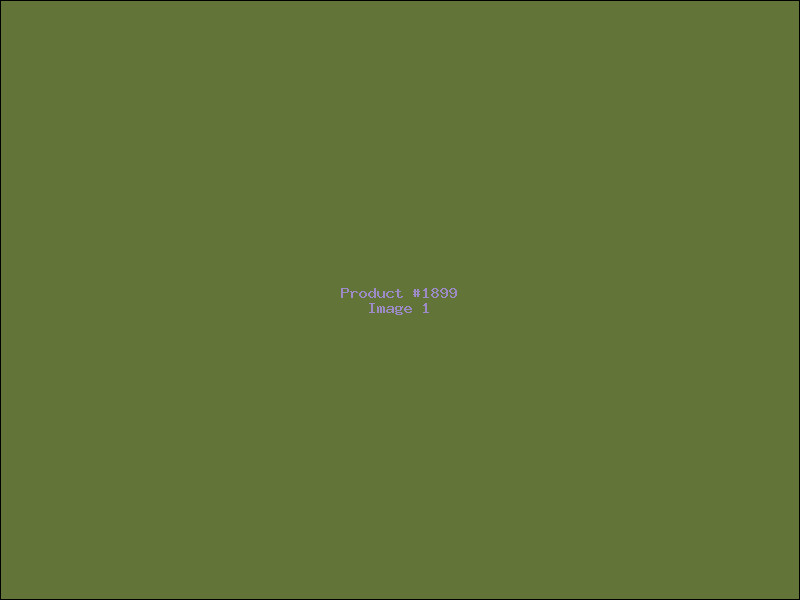Example Product 1899