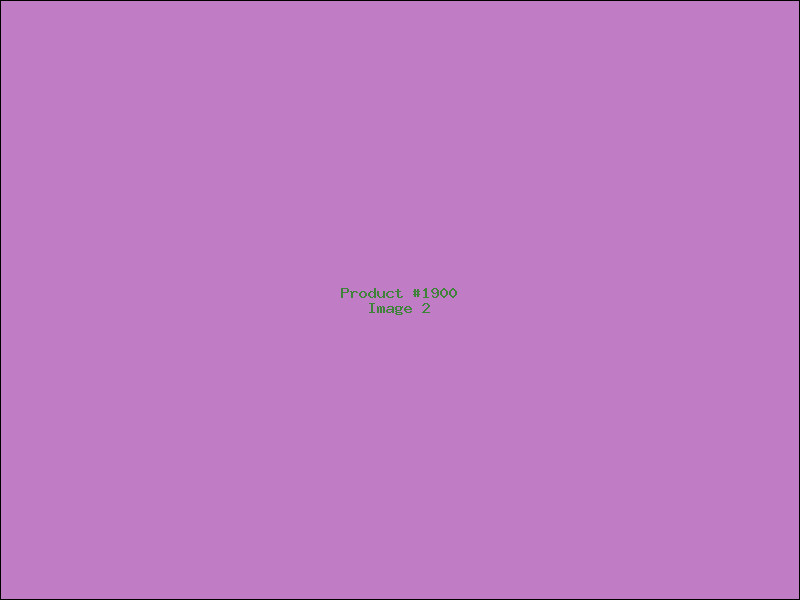 Example Product 1900 - Image 2