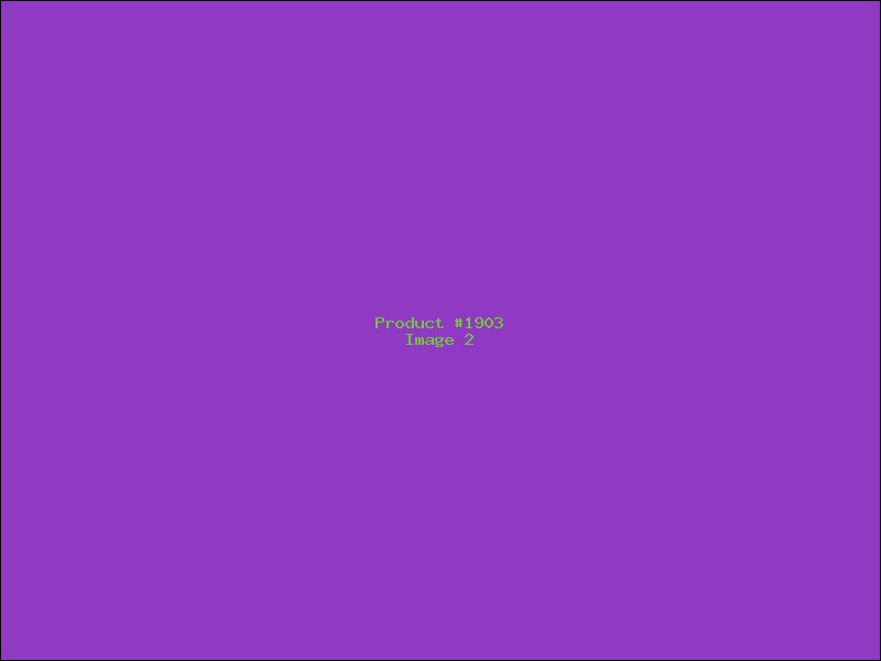 Example Product 1903 - Image 2