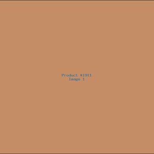 Example Product 1911