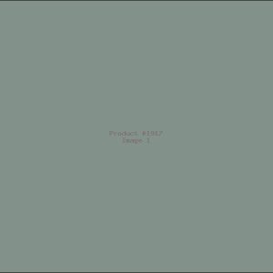Example Product 1917